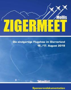 Die einzigartige Flugshow im Glarnerland 16./17. August 2019 - Sponsorendokumentation