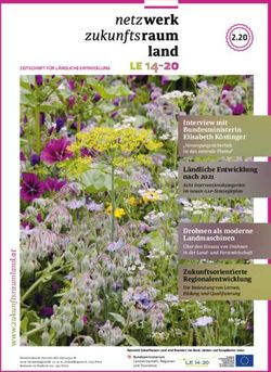 2.20 Netzwerk Zukunftsraum Land