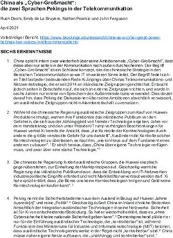 China als "Cyber-Gro&szlig;macht": die zwei Sprachen Pekings in der Telekommunikation