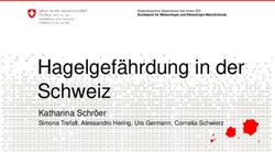Hagelgefährdung in der Schweiz - Katharina Schröer Simona Trefalt, Alessandro Hering, Urs Germann, Cornelia Schwierz
