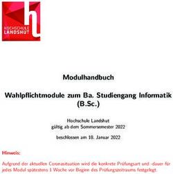 Modulhandbuch Wahlpflichtmodule Zum Ba. Studiengang Informatik (B.Sc.)