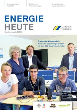 ENERGIE HEUTE PRAXISNAHE WISSENSCHAFT - WIND- UND SOLARENERGIE ERLEBEN MIT DEM SBL-EXPERIMENTIERKOFFER - ST&Auml;DTISCHE BETRIEBSWERKE LUCKENWALDE ...