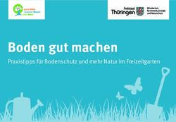 Boden gut machen Praxistipps f&uuml;r Bodenschutz und mehr Natur im Freizeitgarten - Th&uuml;ringer Ministerium f&uuml;r Umwelt ...
