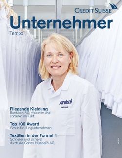 Unternehmer Tempo - Fliegende Kleidung