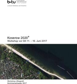 Koserow 2020 Workshop vor Ort 11 - Juni 2017 - Workshop (Stegreif) Sommersemester 2017 - Usedomer Bernsteinbäder