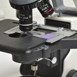 MQ Ringversuche 2019 - Mqzh