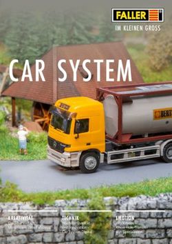 CAR SYSTEM IM KLEINEN GROSS