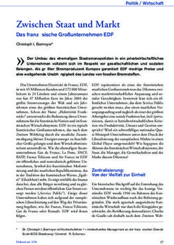 Zwischen Staat und Markt - Das franz&ouml;sische Gro&szlig;unternehmen EDF