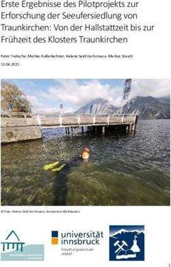 Erste Ergebnisse des Pilotprojekts zur Erforschung der Seeufersiedlung von Traunkirchen: Von der Hallstattzeit bis zur Fr&uuml;hzeit des Klosters ...