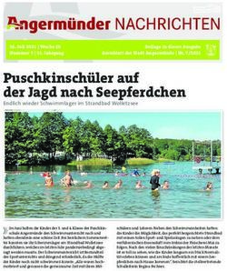 Puschkinsch&uuml;ler auf der Jagd nach Seepferdchen - Endlich wieder Schwimmlager im Strandbad Wolletzsee - Stadt Angerm&uuml;nde