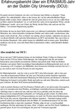 Erfahrungsbericht über ein ERASMUS-Jahr an der Dublin City University (DCU)