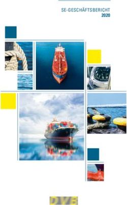 SE-GESCHÄFTSBERICHT 2020 - DVB Bank