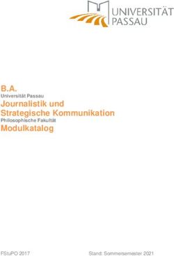 B.A. Journalistik und Strategische Kommunikation - Universität Passau