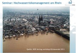 Seminar: Hochwasserrisikomanagement am Rhein - Quelle: IKSR Vortrag workshop Klimawandel 2013 - WRRL