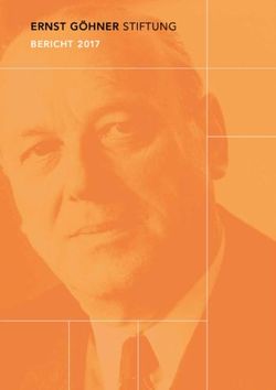 ERNST GÖHNER STIFTUNG - BERICHT 2017 - Ernst Göhner Stiftung