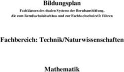 Bildungsplan Fachbereich: Technik/Naturwissenschaften Mathematik - Fachklassen des dualen Systems der Berufsausbildung, die zum ...