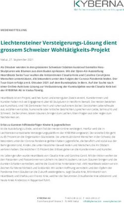 Liechtensteiner Versteigerungs-L&ouml;sung dient grossem Schweizer Wohlt&auml;tigkeits-Projekt