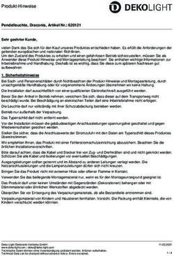 Produkt-Hinweise Pendelleuchte, Draconis, Artikel Nr.: 620121 - Deko-Light