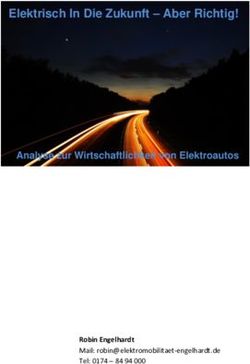 Elektrisch In Die Zukunft - Aber Richtig! - Analyse zur Wirtschaftlichkeit von Elektroautos - Robin Engelhardt