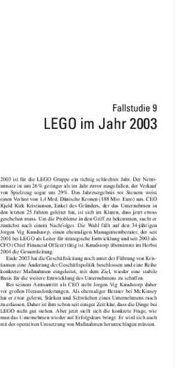 LEGO im Jahr 2003 Fallstudie 9
