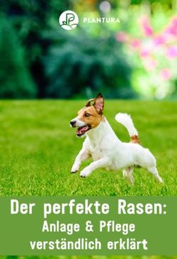 Der perfekte Rasen: Anlage & Pflege verst&auml;ndlich erkl&auml;rt - Plantura