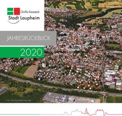 2020 JAHRESR&Uuml;CKBLICK - Stadt Laupheim