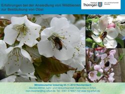 Erfahrungen bei der Ansiedlung von Wildbienen zur Best&auml;ubung von Obst - Mitteldeutscher Imkertag 03.11.2018 Reichenbach - Thueringen.de