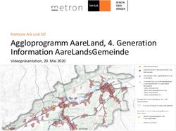 AGGLOPROGRAMM AARELAND, 4. GENERATION INFORMATION AARELANDSGEMEINDE - KANTONE AG UND SO