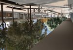Oerlikon - der neue Bahnhof verbindet Entwicklungskonzept und Ausbauvorhaben