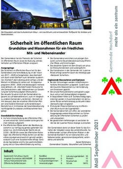 Sicherheit im öffentlichen Raum - Grundsätze und Massnahmen für ein friedliches Mit- und Nebeneinander