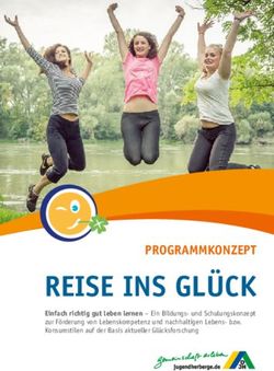 REISE INS GL&Uuml;CK PROGRAMMKONZEPT - Einfach richtig gut leben lernen - Ein Bildungs- und Schulungskonzept zur F&ouml;rderung von Lebenskompetenz und ...