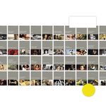 Fokus: Katalanisches Kino - Filmreihe zur Frankfurter Buchmesse - Deutsches Filminstitut