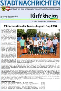 Internationaler Tennis-Jugend-Cup 2018 - Stadt Rutesheim