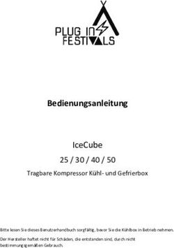 Bedienungsanleitung IceCube - Plug-in Festivals