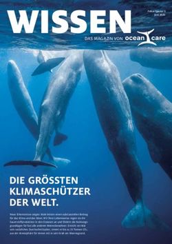 WISSEN Fokus Spezial 3 - DAS MAGAZIN VON - OceanCare