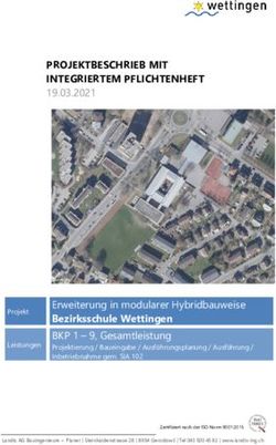 PROJEKTBESCHRIEB MIT INTEGRIERTEM PFLICHTENHEFT 19.03.2021 - AWS