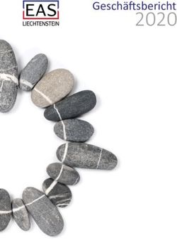 2020 Geschäftsbericht - EAS Liechtenstein