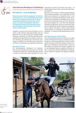 Informationen Pferdesport mit Handicap Ihre Spende - unser Steigb&uuml;gel - pfh-seh.ch