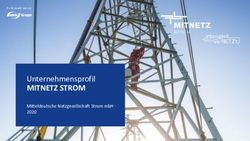 MITNETZ STROM Unternehmensprofil - Mitteldeutsche Netzgesellschaft Strom mbH 2020
