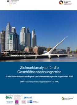 Zielmarktanalyse f&uuml;r die Gesch&auml;ftsanbahnungsreise - Zivile Sicherheitstechnologien- und dienstleistungen in Argentinien 2017 - iXPOS