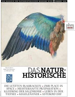 DAS NATUR-HISTORISCHE - DIE LETZTEN BLAURACKEN N OUR PLACE IN - Naturhistorisches Museum Wien