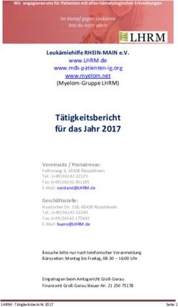 Tätigkeitsbericht für das Jahr 2017 - Leukämiehilfe RHEIN-MAIN eV