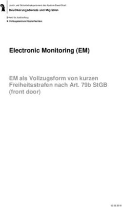 ELECTRONIC MONITORING (EM) EM ALS VOLLZUGSFORM VON KURZEN FREIHEITSSTRAFEN NACH ART. 79B STGB (FRONT DOOR) - BEVÖLKERUNGSDIENSTE UND MIGRATION