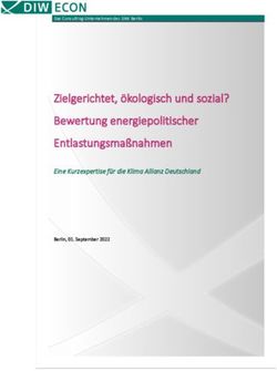 Zielgerichtet, ökologisch und sozial? Bewertung energiepolitischer Entlastungsmaßnahmen - Eine Kurzexpertise für die Klima Allianz Deutschland