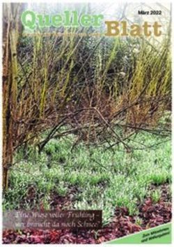 Queller Blatt - Eine Wiese voller Fr&uuml;hling - wer braucht da noch Schnee? - Heimatverein Quelle