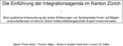 Die Einführung der Integrationsagenda im Kanton Zürich