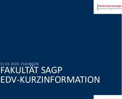 FAKULT&Auml;T SAGP EDV-KURZINFORMATION - Hochschule Esslingen