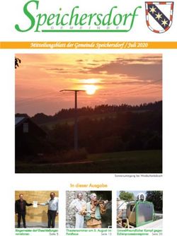 Mitteilungsblatt der Gemeinde Speichersdorf / Juli 2020