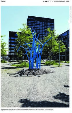 Dossier nico laz&uacute;la | ruedi staub