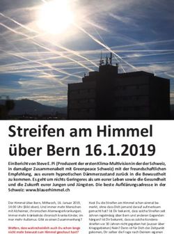 Streifen am Himmel &uuml;ber Bern 16.1.2019 - Vivamos
